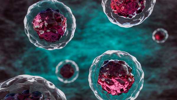 Вільні радикали – це дуже реактивні молекули – чи завжди вони шкідливі, чи мають якісь переваги? | INFBusiness