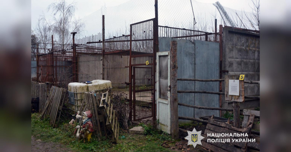 В Хмельницькому спіймали звідусіль левів-втікачів (відео, світлини)