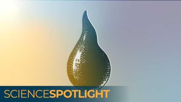 Канада втратила свій «статус країни, де ліквідовано кір» — ось що це означає | INFBusiness