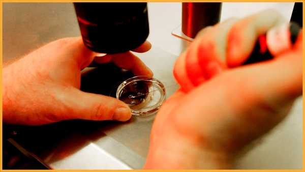 США мають намір втратити статус країни, яка ліквідувала кір, за кілька місяців. RFK має зникнути. | INFBusiness