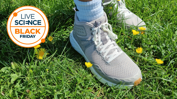 Дослідження тканин плода є критично важливим для вчених, щоб краще зрозуміти здоров'я та хвороби людини. Майбутні обмеження фінансування можуть підірвати дослідження в США (Зображення: Сенді Хаффакер через Getty Images) Обмеження на дослідження тканин плода загрожуватимуть прогресу в розробці проривних методів лікування руйнівних захворювань, але водночас не запобігнуть жодному аборту. | INFBusiness