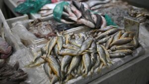 Китай призупинить імпорт японських морепродуктів через чергову ескалацію ситуації з коментарями Тайваню. | INFBusiness