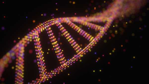 Старіння та запалення можуть не йти рука об руку, показує дослідження | INFBusiness