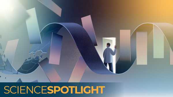 Щоразу, коли вона народжувала, жінка помічала молочні виділення з-під пахв. (Зображення: Silor, Alyssa Felsophie S. et al. Ектопічна тканина молочної залози з молочними виділеннями в пахвових западинах у жінки-філіппінки, що годує грудьми: звіт про випадок. Звіти про випадки JAAD, том 63, 61-65.) Діагностична дилема: Витік молока з-під пахв жінки виявив «ектопічні груди» | INFBusiness