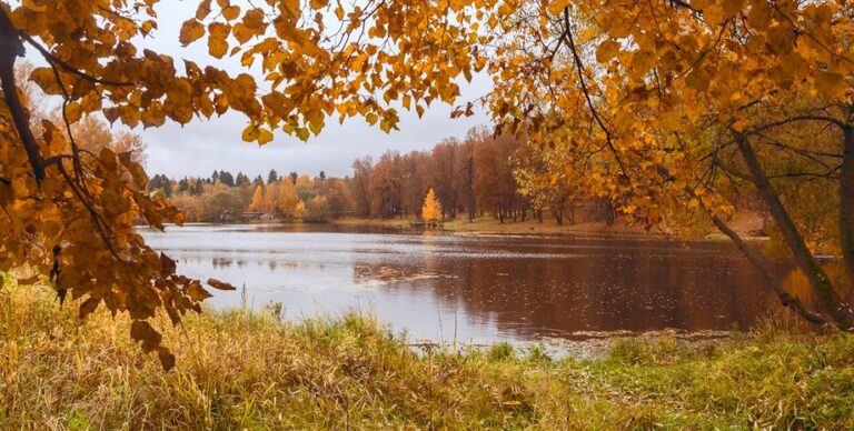 Погода 4 листопада: куди прийде похолодання — прогноз від Діденко