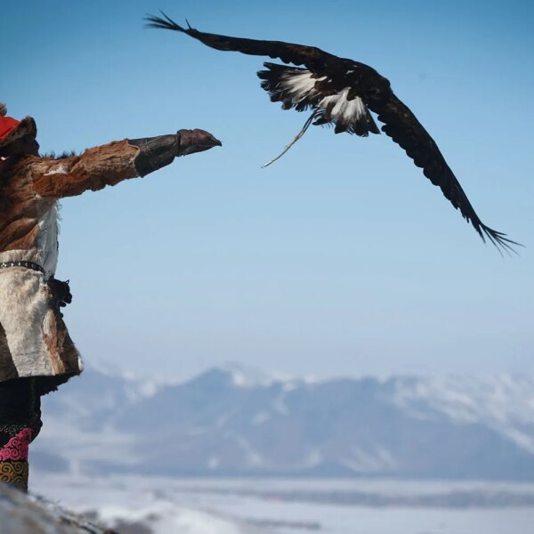 Світові лідери знають: птахи в небезпеці!