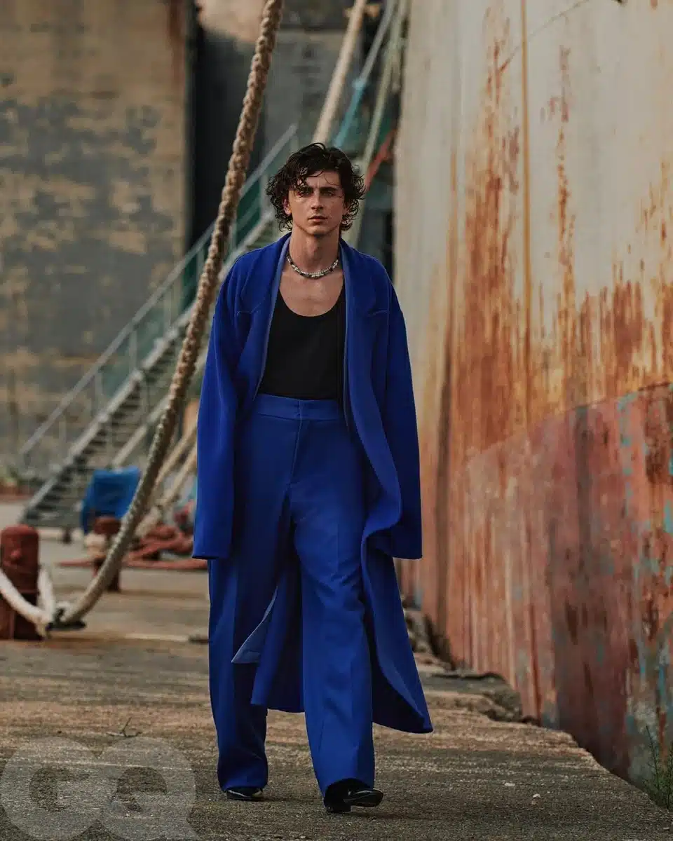 Тімоті Шаламе оскандалився заявою про оперу та балет - що сказав та реакція діячів 2