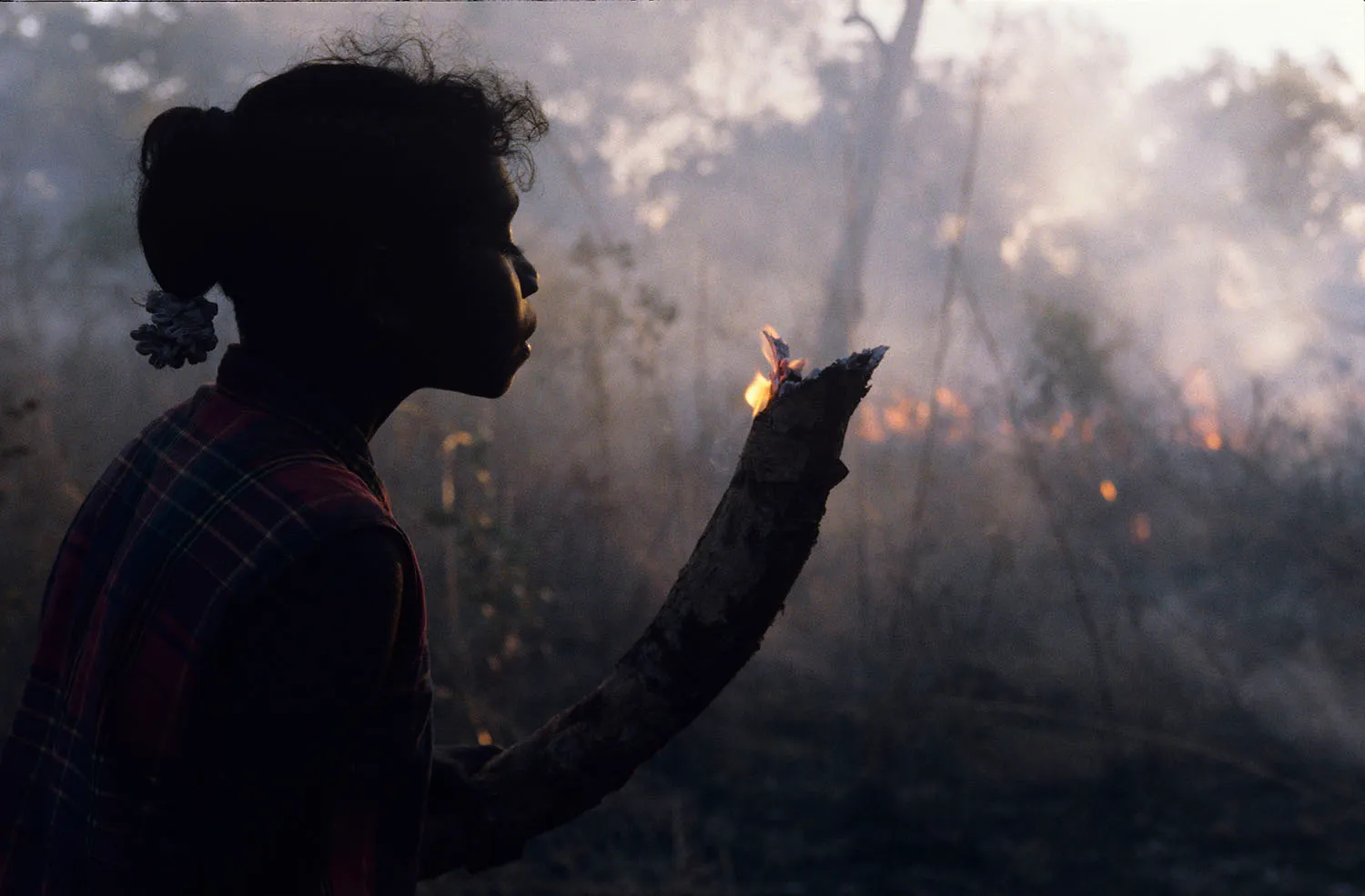 Світові лідери знають: птахи в небезпеці! 4