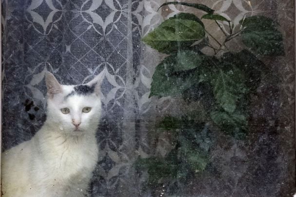 The weather in Ukraine will change sharply in the coming days / © Associated Press