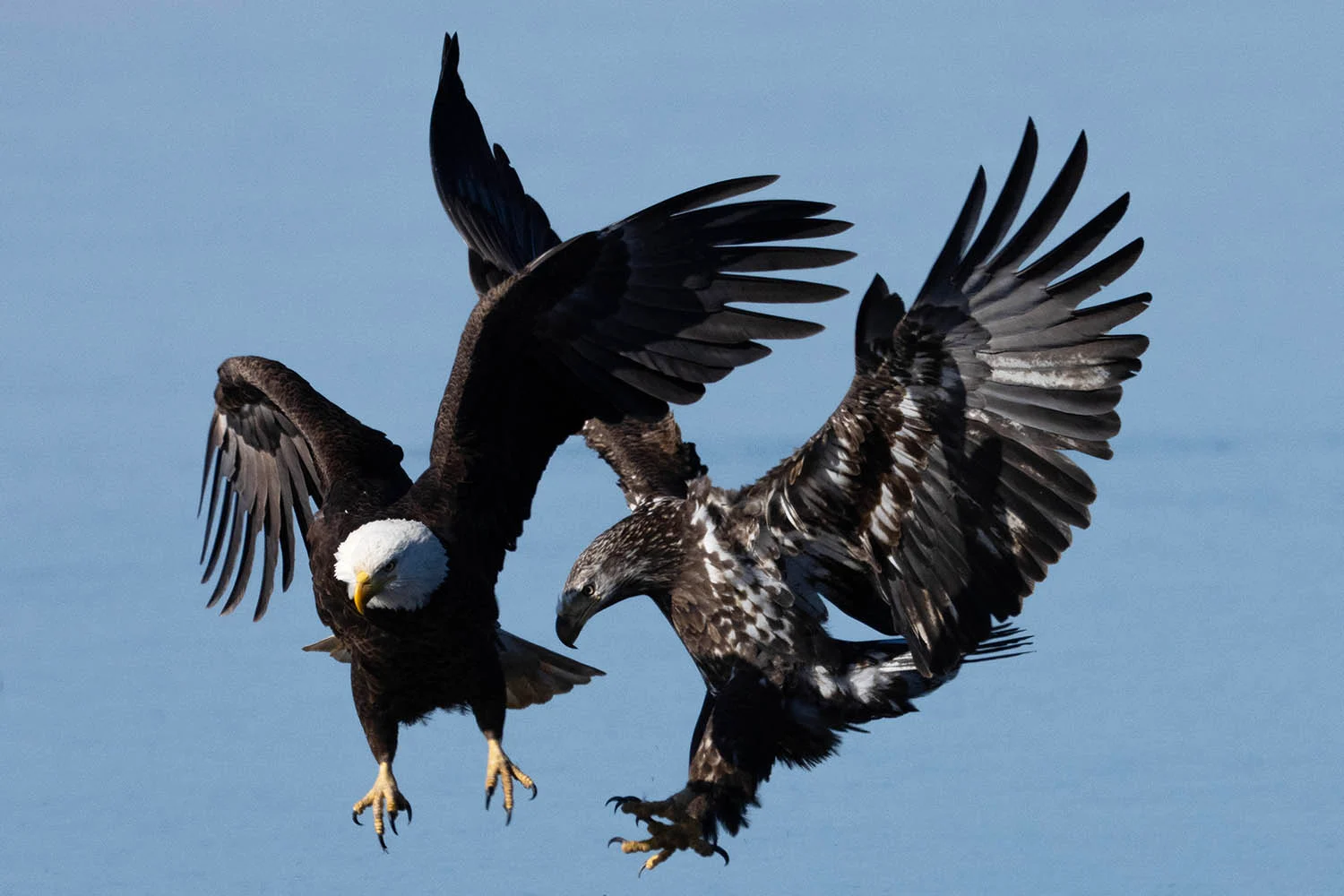 Світові лідери таємно готують план на випадок глобальної загрози. 3