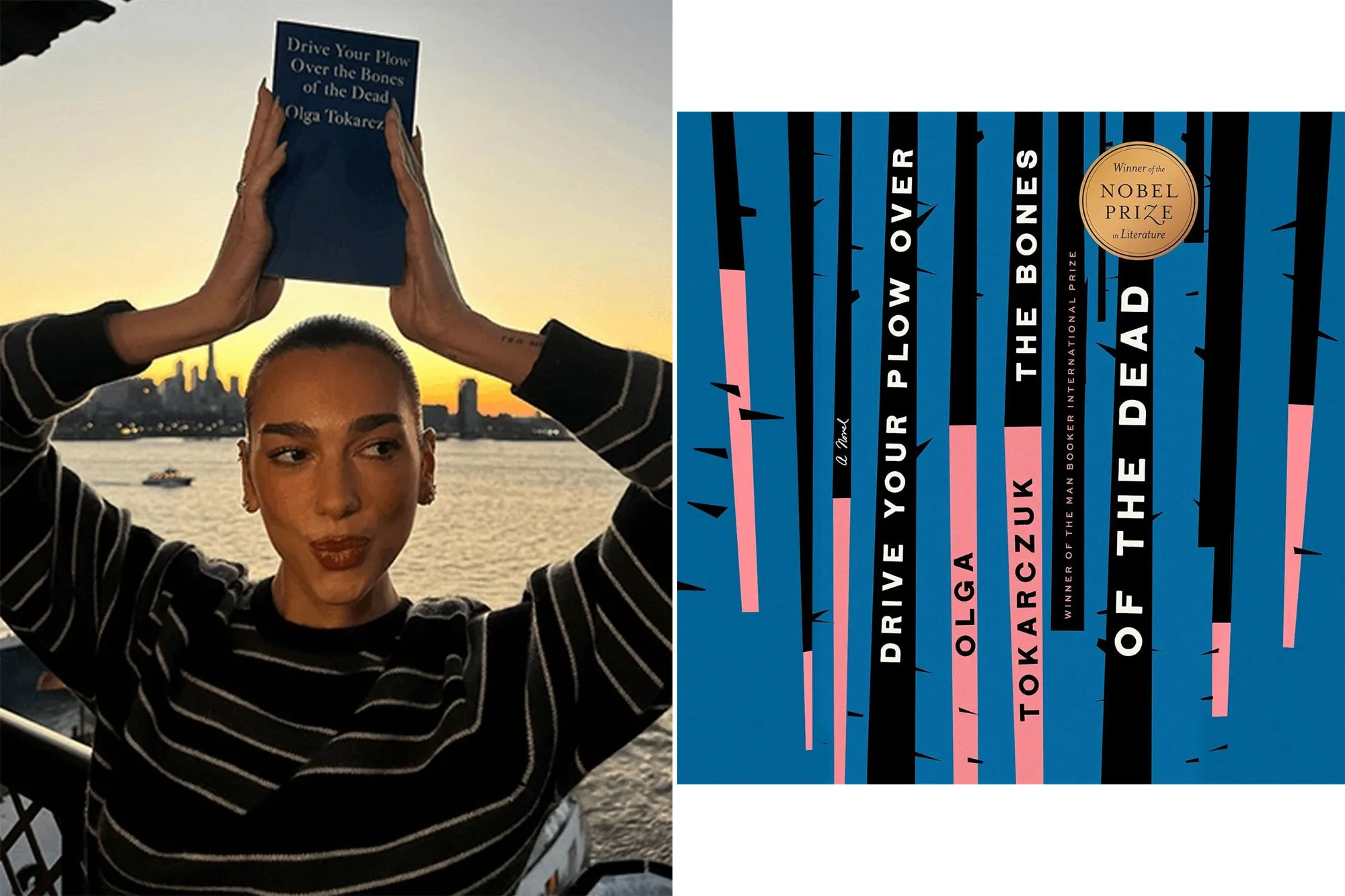 Дуа Ліпа: Вибір зірок, який сколихнув світ літератури 16