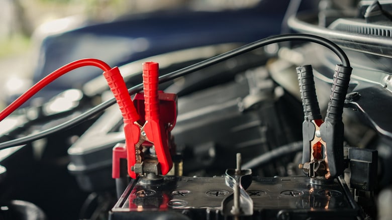 Новачки за кермом: найнебезпечніші помилки, яких варто уникнути 1