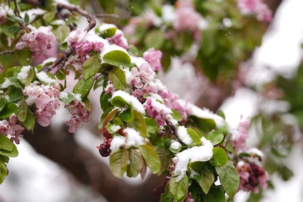 Найближчими днями синоптки прогнозують холодну погоду в Україні / © Associated Press