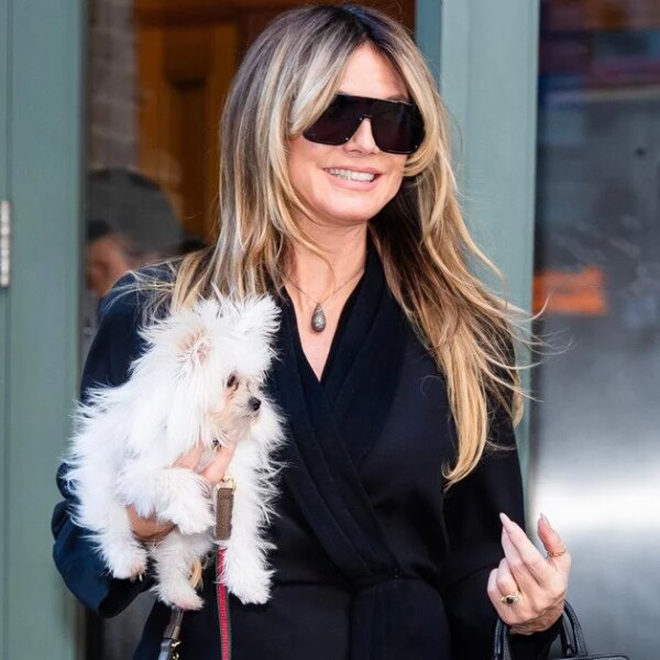 Гайді Клум у короткій чорній сукні та з песиком на руках походеньками Нью-Йорком