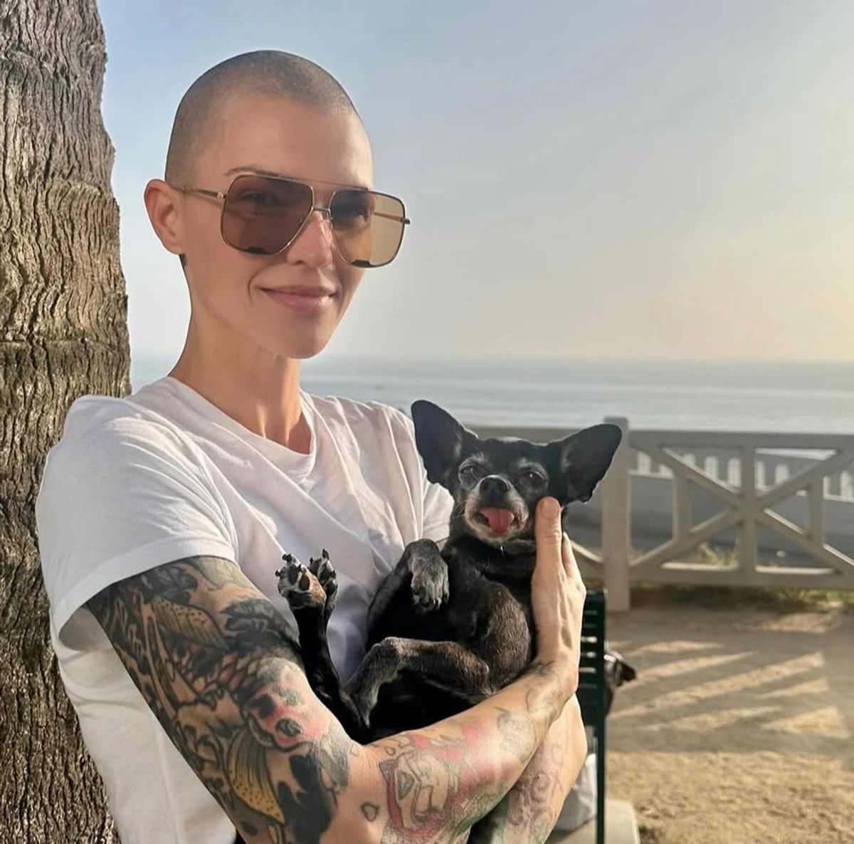 Поліція розглядає звинувачення Кеті Перрі у сексдомаганнях 2