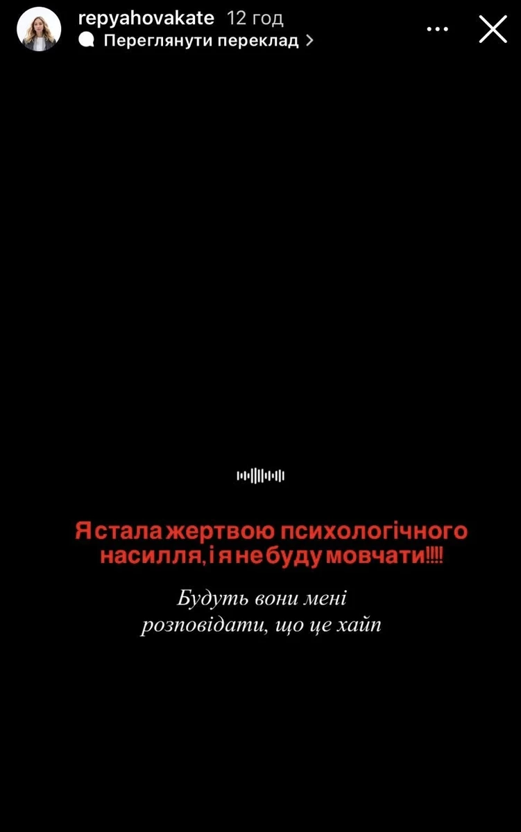 Дружина Віктора Павліка зняла на телефон, як їй грубіянив Сергій Перман 6