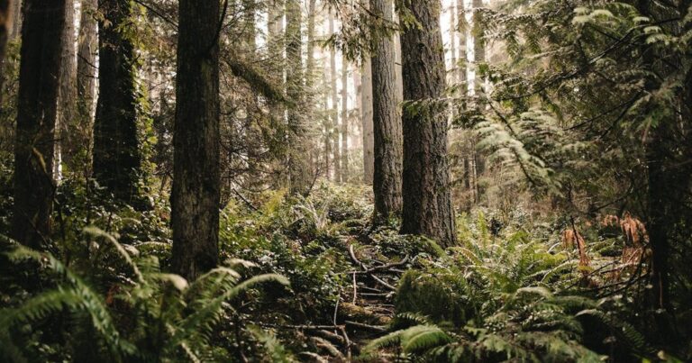 Жінка з дитиною та підлітком загинули внаслідок популярної великодньої традиції: що призвело до трагедії 3 Жінка з дитиною та підлітком загинули внаслідок популярної великодньої традиції: що призвело до трагедії 3
