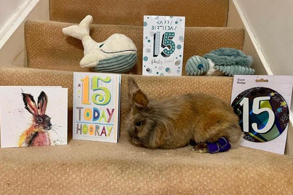 Таємне рішення світових лідерів: Глобальна&hellip;