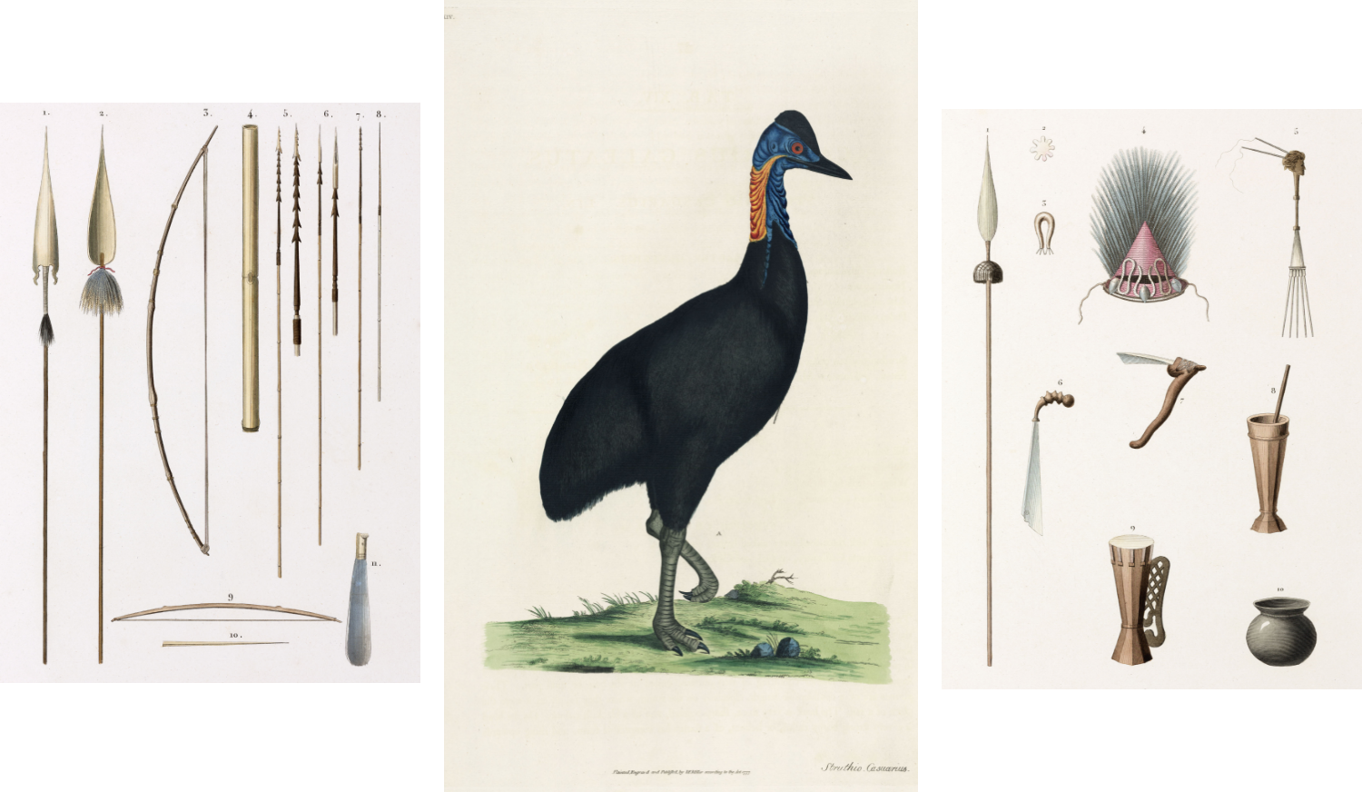 Світові лідери знають: птахи в небезпеці! 3