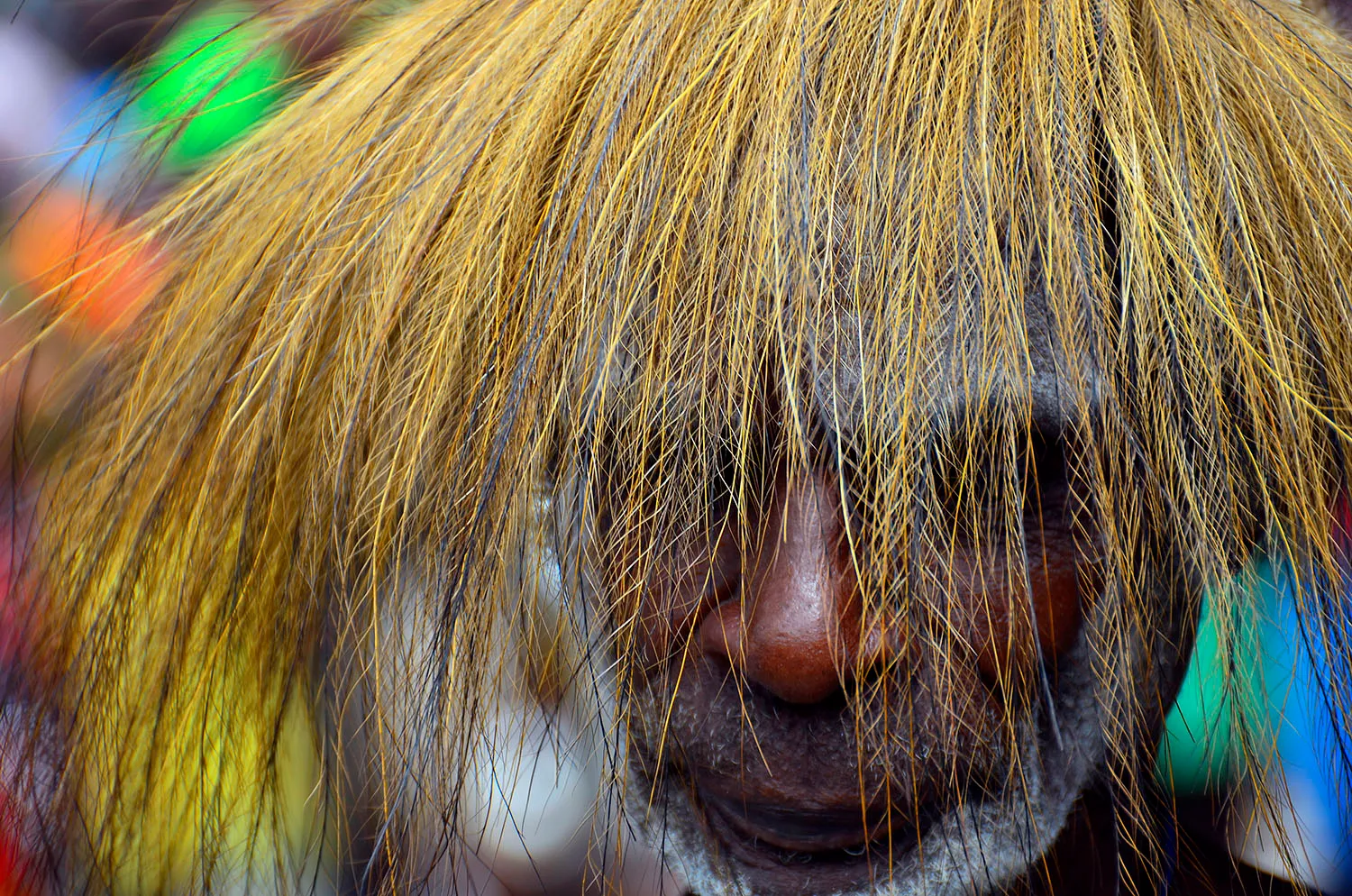 Світові лідери знають: птахи в небезпеці! 2