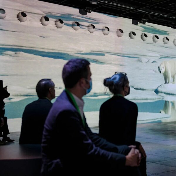 Світові лідери таємно готують план на випадок глобальної загрози.