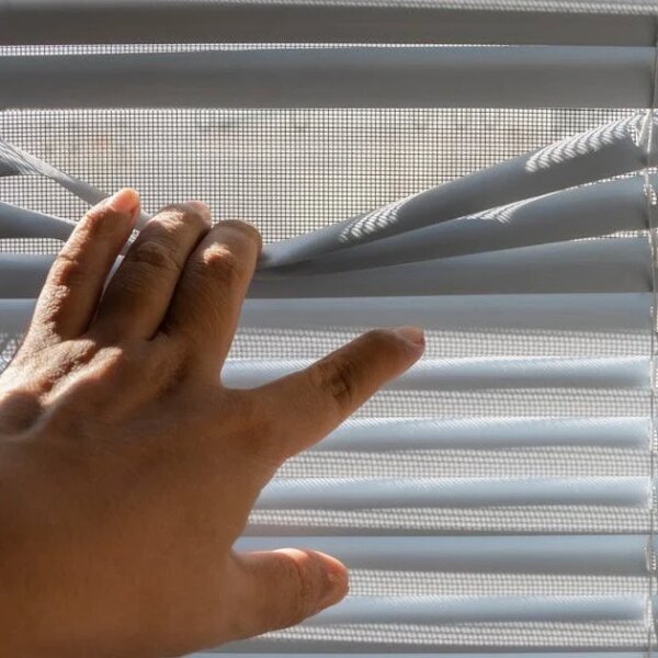 Як оперативно та без зусиль позбутися пилу на жалюзі, не знімаючи їх: ефективна порада для оселі