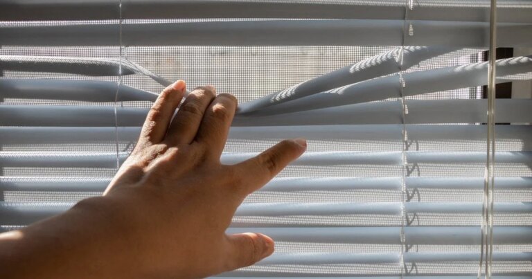 Як оперативно та без зусиль позбутися пилу на жалюзі, не знімаючи їх: ефективна порада для оселі 17 Як оперативно та без зусиль позбутися пилу на жалюзі, не знімаючи їх: ефективна порада для оселі 3