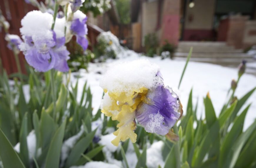 Шок: Зимова стихія атакує Україну, морози та сніг несподівано.