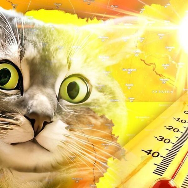 Шок: Спека +40° в Україні – міф чи реальність?
