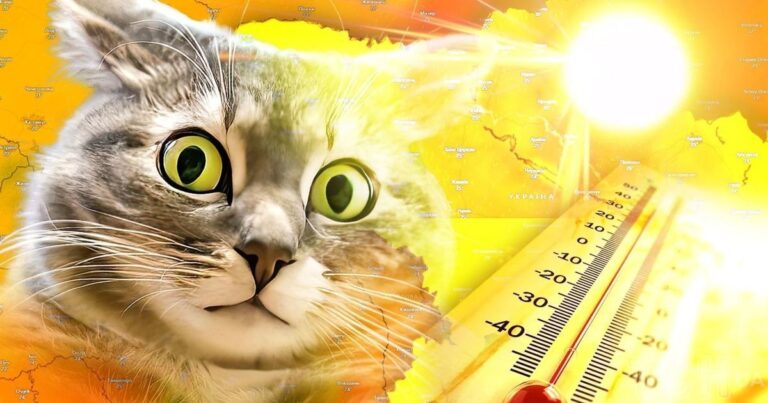 Шок: Спека +40° в Україні – міф чи реальність? 8