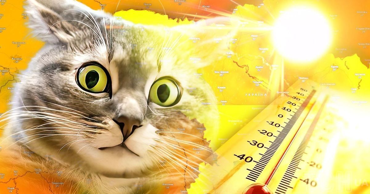 Шок: Спека +40° в Україні – міф чи реальність?