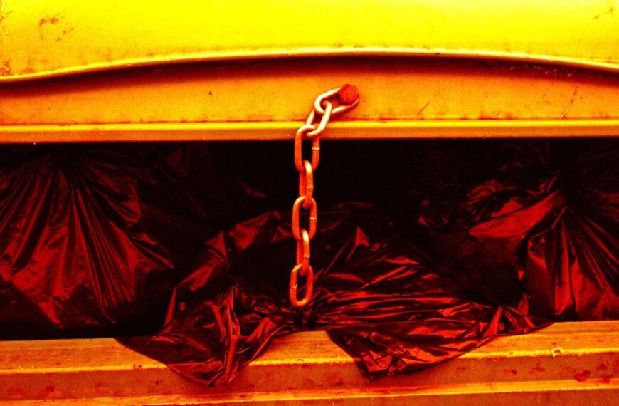 Подвійне вбивство: Підозрюваний питав ChatGPT, як сховати тіло у сміттєвому баку Штучний&hellip;