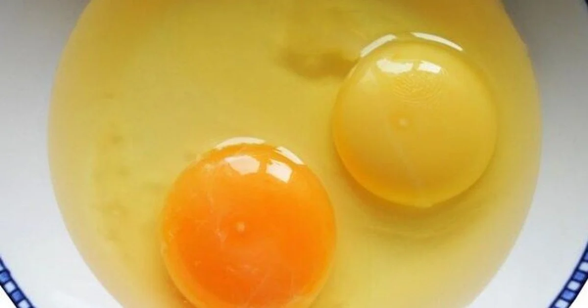 Жовток яйця