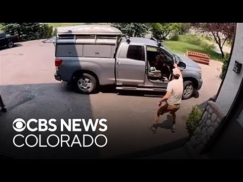 Дивіться: Чоловік із Колорадо відчинив двері вантажівки і знайшов ведмедя&hellip;