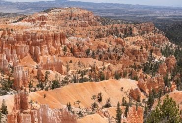 У багатьох вдома є пакет із пакетами: як його зробити корисним 4