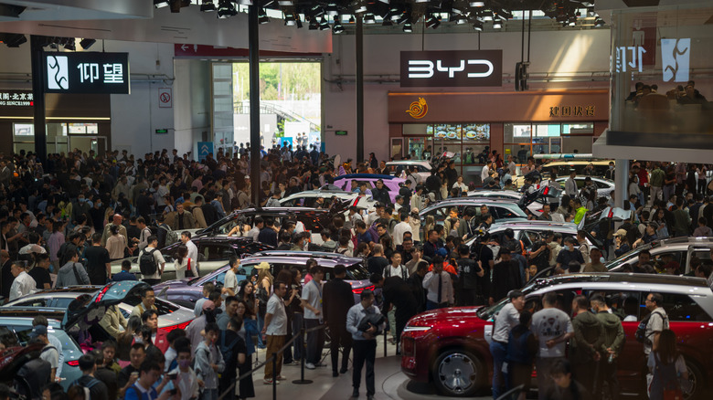BYD наздоганяє Tesla: битва за електромобільний трон набирає обертів 4