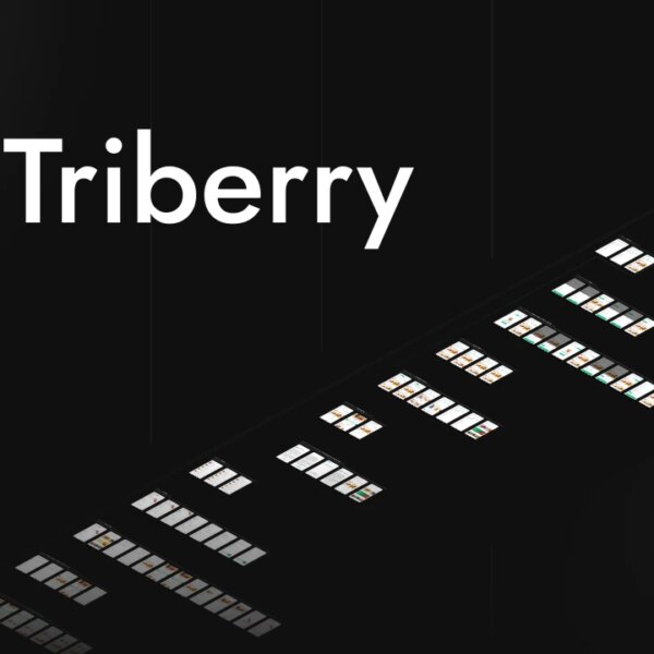 ZAS Ventures вкладає у революційний ШІ-інструмент Triberry: Технології майбутнього вже тут!