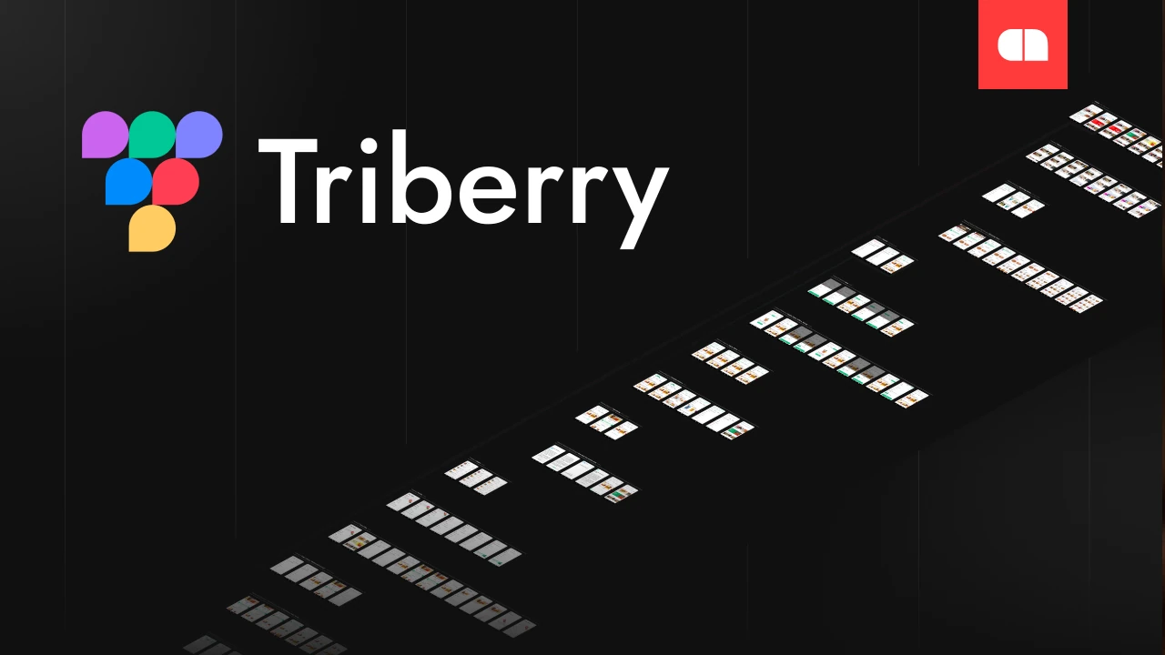 ZAS Ventures вкладає у революційний ШІ-інструмент Triberry: Технології майбутнього вже тут! 1