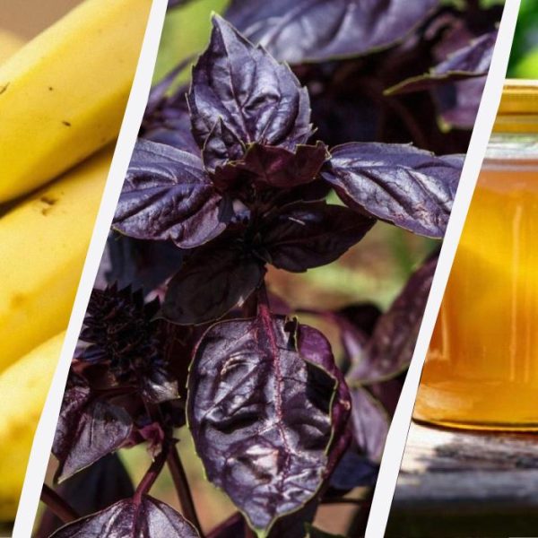 Це може лише зашкодити: 11 продуктів, які не варто зберігати в холодильнику