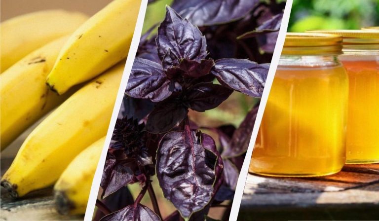 Це може лише зашкодити: 11 продуктів, які не варто зберігати в холодильнику 18