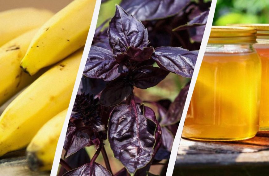 Бомба Новини 56 Це може лише зашкодити: 11 продуктів, які не варто зберігати в холодильнику