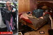 Адвокат Нью-Йорка та колега втікають від скандалу з парку 5