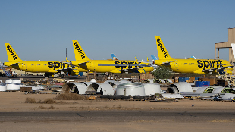 Google запропонував $10 млн за дані Spirit Airlines для тренування ШІ