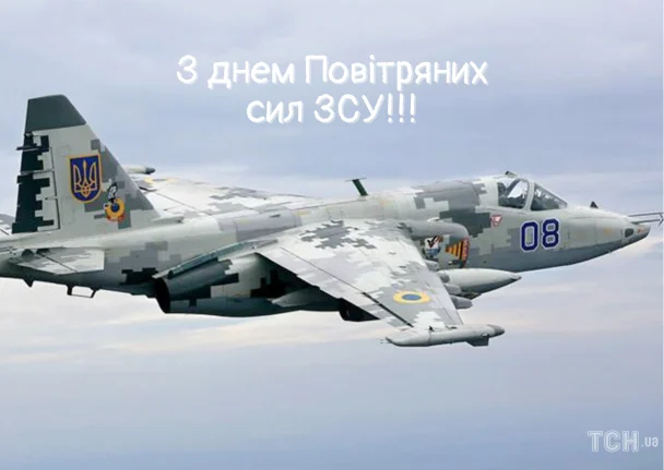 Шок: Свавілля влади вбиває надії українців. 5 З Днем Повітряних сил України / © ТСН.ua