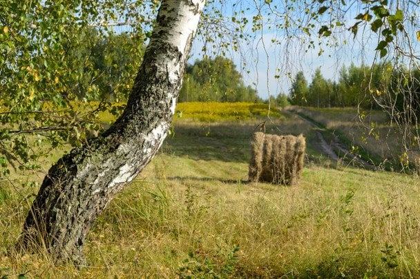 Народні прикмети 14 серпня / © pexels.com