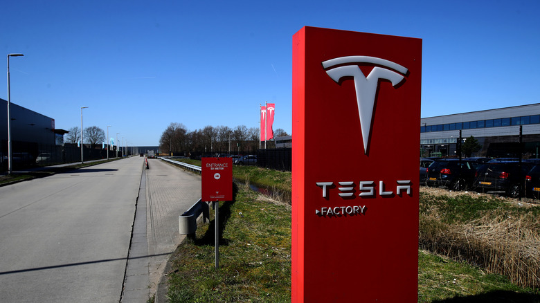 Нідерландські регулятори приховують дані про автопілот Tesla на прохання компанії 2