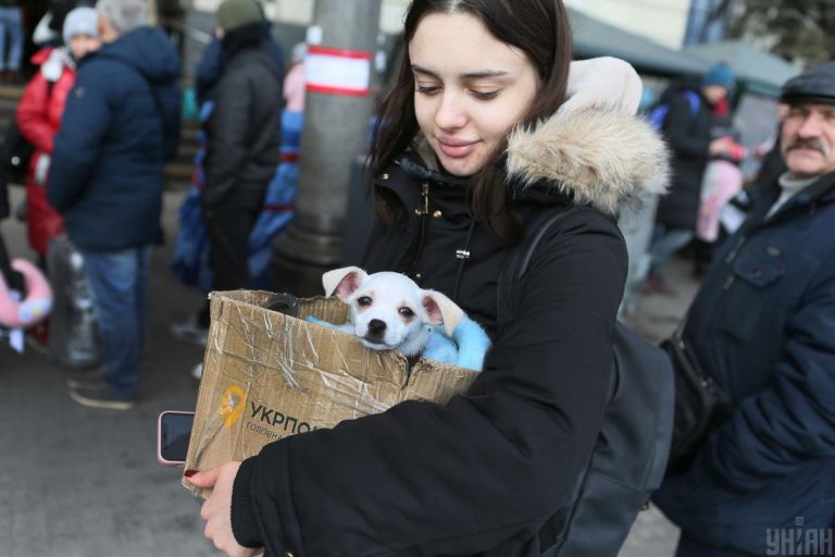 Лубінець: 8,4 млн покинули Україну через агресію Росії 4 Лубінець: 8,4 млн покинули Україну через агресію Росії 4