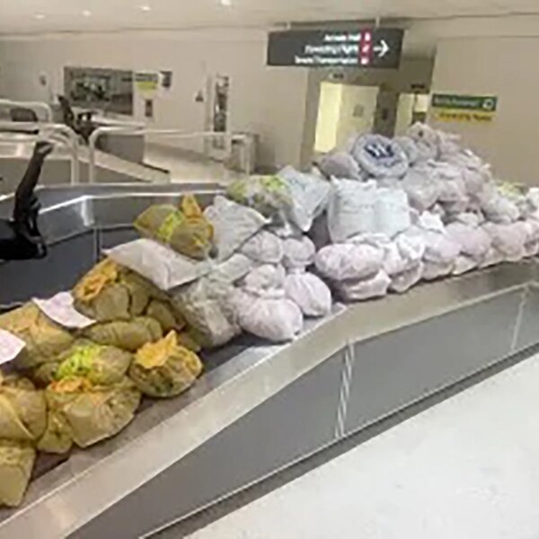 Ньюйоркців затримали в аеропорту Меріленда з 850 фунтами рослини кат