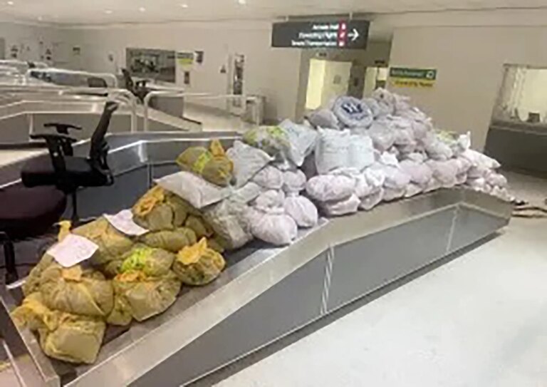 Ньюйоркців затримали в аеропорту Меріленда з 850 фунтами рослини кат 22