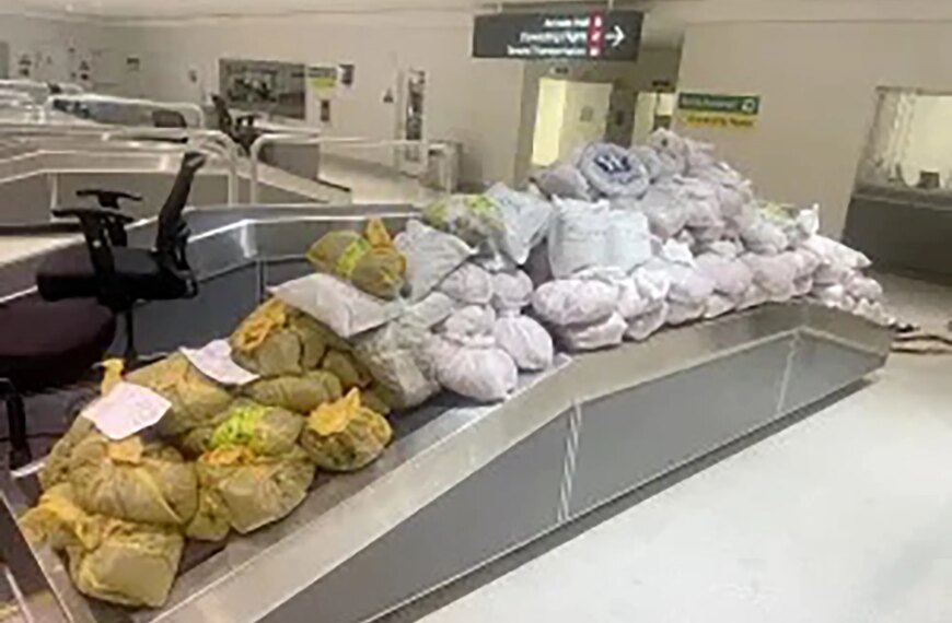 Ньюйоркців затримали в аеропорту Меріленда з 850 фунтами рослини кат